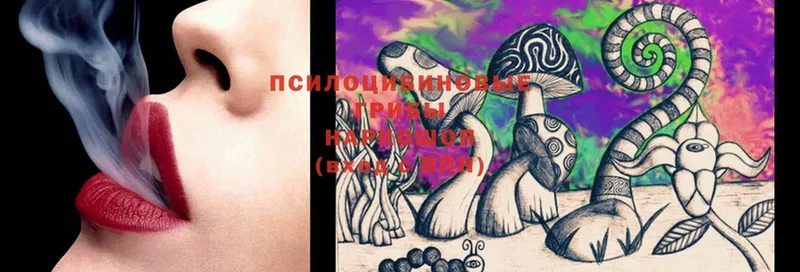 Галлюциногенные грибы MAGIC MUSHROOMS  Анадырь 